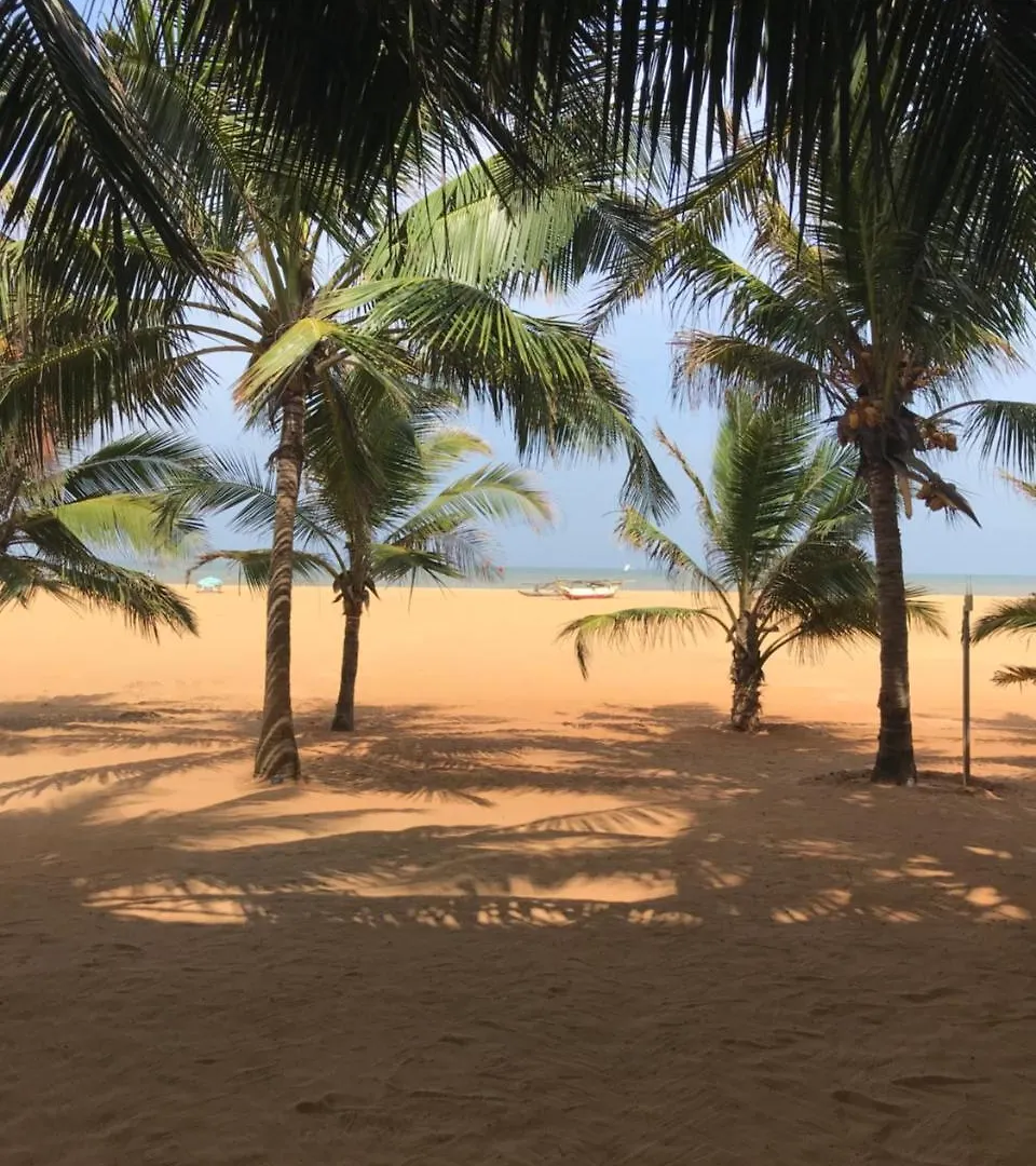 Vijai Resort 尼甘布 0*,  斯里兰卡